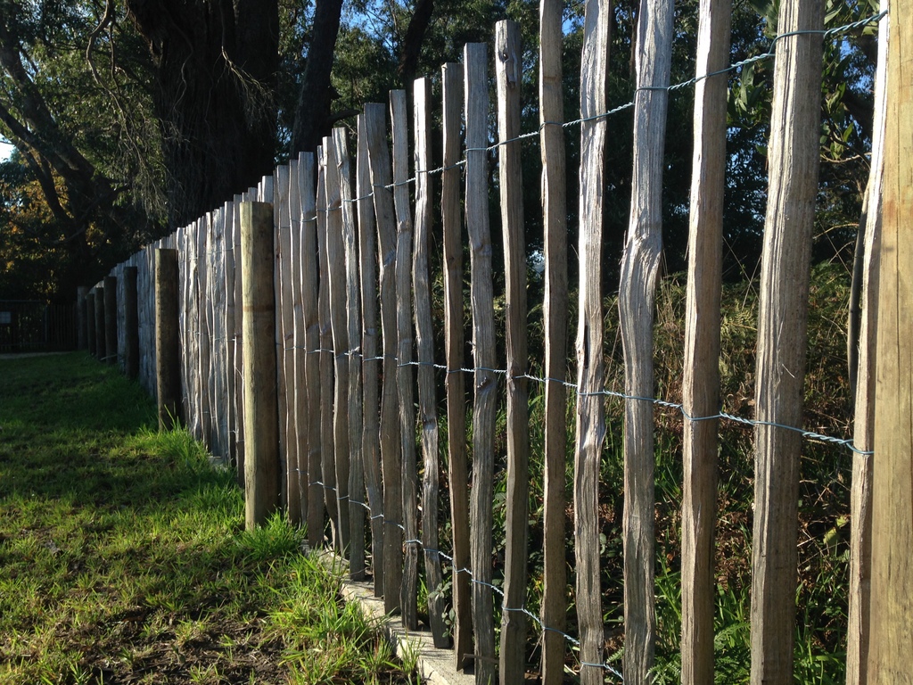 Wattle and wire Split pale Garden fence - IMG 0939